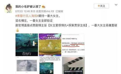 吃瓜爆火娱乐圈小说,娱乐圈的甜蜜陷阱