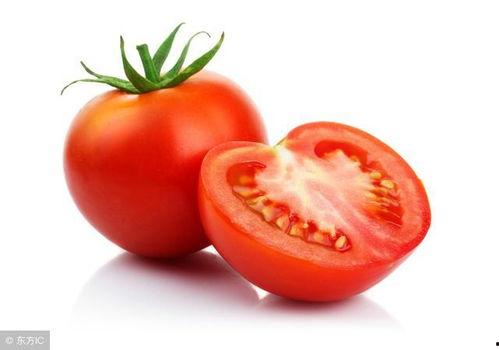 娱乐吃瓜酱西红柿,西红柿的瓜界传奇