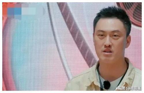 吃瓜看娱乐圈,吃瓜群众视角下的明星八卦